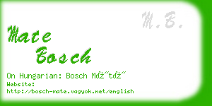 mate bosch business card